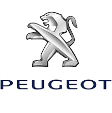 Peugeot Servicing